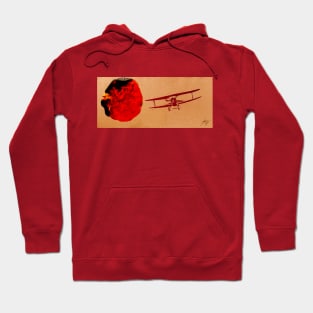 Flying Past an Anomaly -1 Hoodie